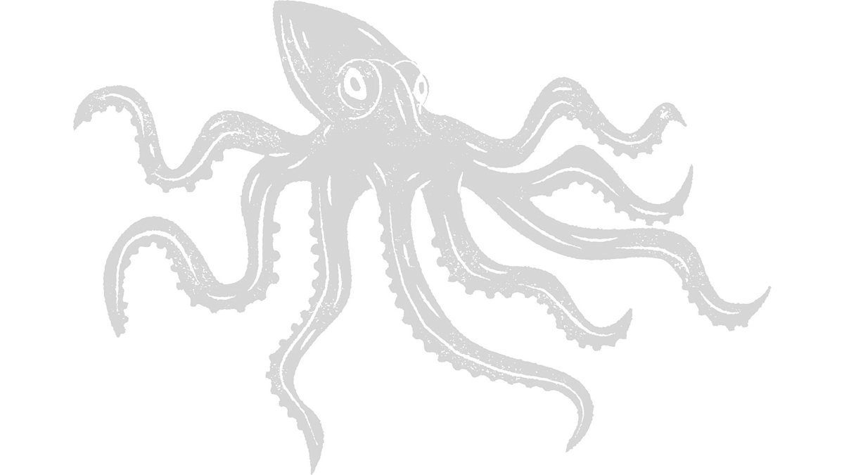 Illustrazione di un polpo con otto tentacoli