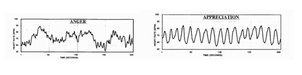 Tracciati del ritmo cardiaco in stato di rabbia e di apprezzamento (fonte Heartmath.org)