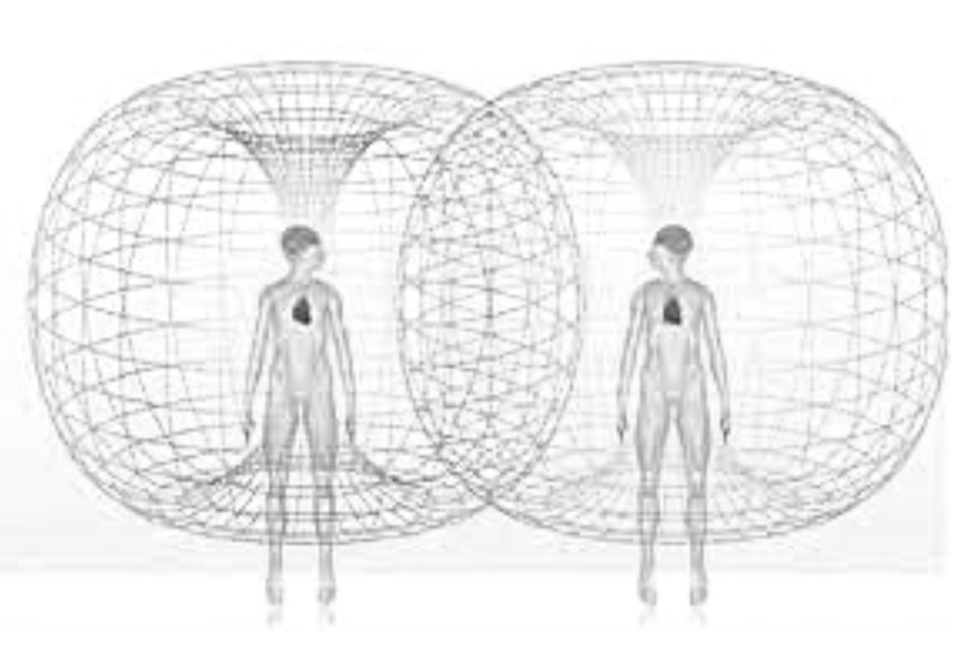 Il campo elettromagnetico del cuore tra due persone (fonte Heartmath.org)
